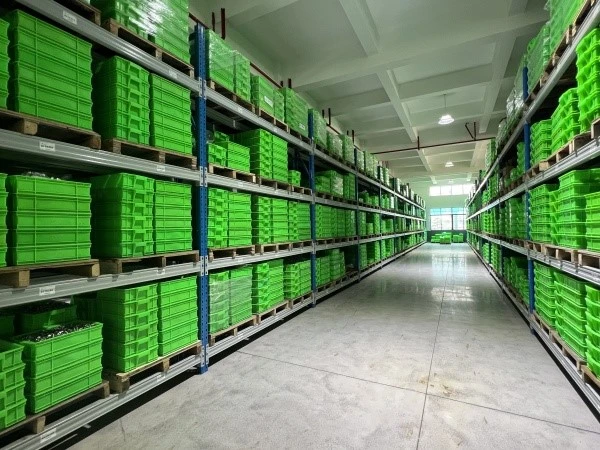 product-600-450 product-600-450